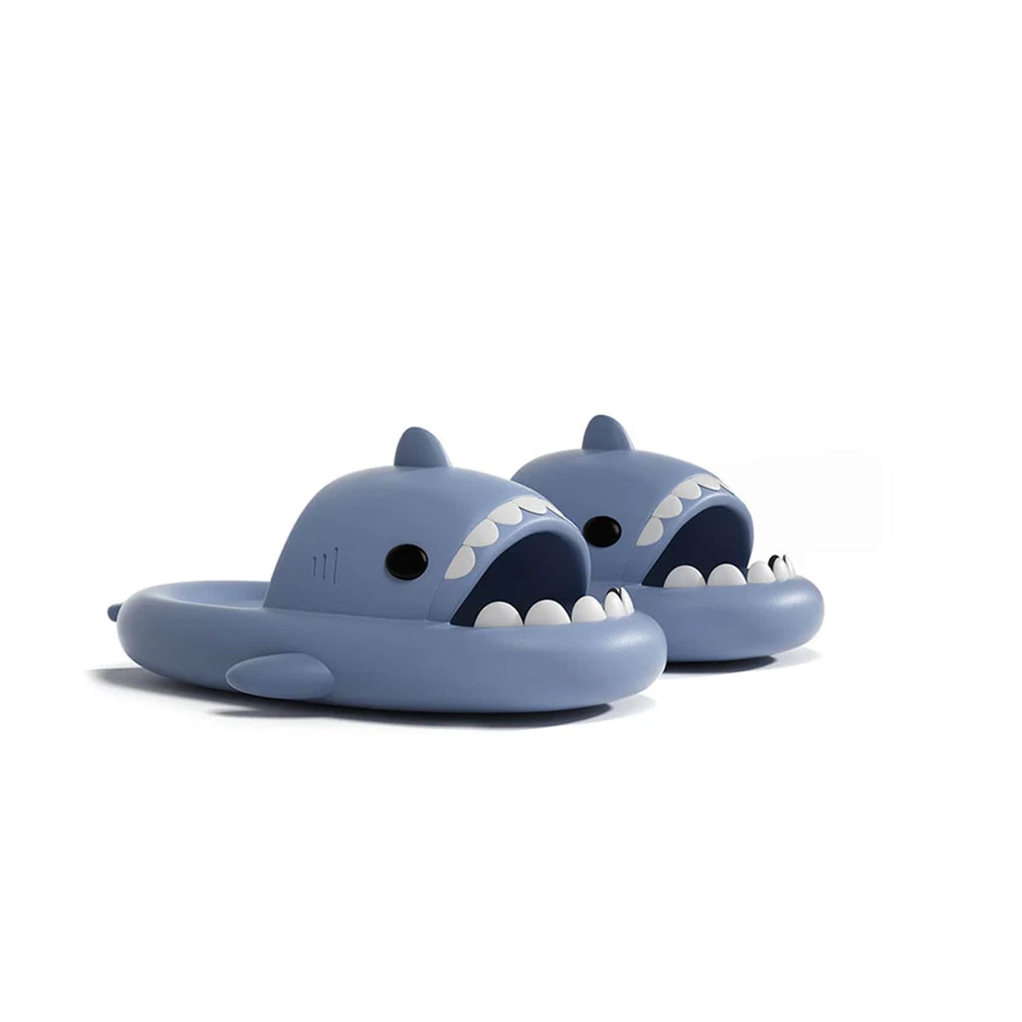 Claquettes requins